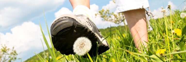klompenpad wandelschoen in de wei